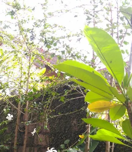 Homestay Santa Fe & Warong *